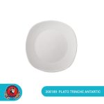 Plato Trinche Antartic