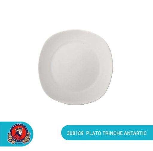 Plato Trinche Antartic
