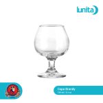 Copa Brandy 9023