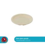 Plato Plano Grande 22.6 cms. Policarbonato